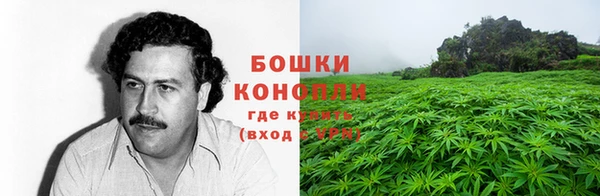 ПСИЛОЦИБИНОВЫЕ ГРИБЫ Армянск