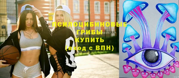 apvp Балабаново