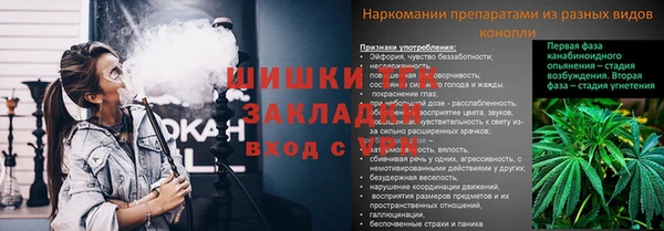 ПСИЛОЦИБИНОВЫЕ ГРИБЫ Армянск