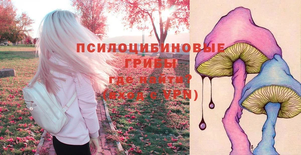 трава Аркадак